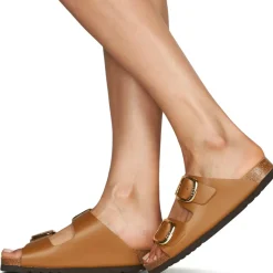 Scholl - NOELLE
