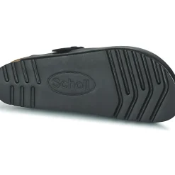 Scholl - OLIVIER