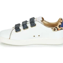 Serafini - J.CONNORS