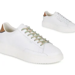 Serafini - ROGER 2