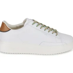 Serafini - ROGER 2