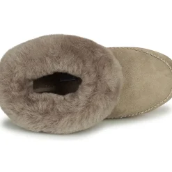 Shepherd - PITEA