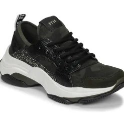 Steve Madden - AJAX
