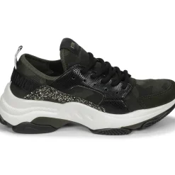 Steve Madden - AJAX