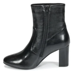Steve Madden - AVENUE