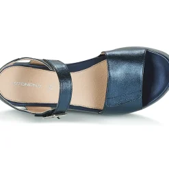 Stonefly - AQUA III 2 LAMINATED