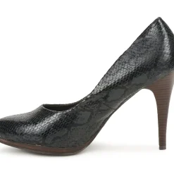 StylistClick - PALOMA