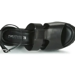 Sweet Lemon - LORIS
