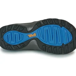Teva - MANATEE