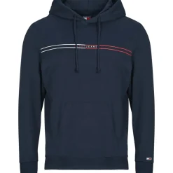 Tommy Jeans - TJM REG ENTRY GRAPHIC HOODIE EXT