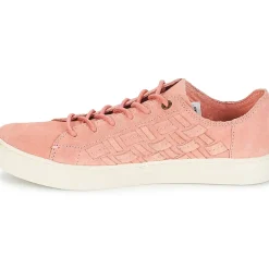 Toms - LENOX