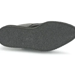 TUK - POINTED CREEPERS