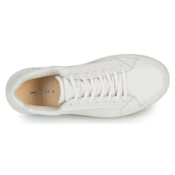 Vagabond Shoemakers - JUDY