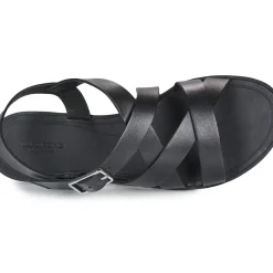 Vagabond Shoemakers - TIA 2.0