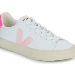 Veja - CAMPO CANVAS