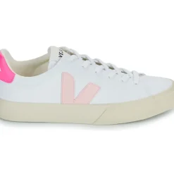 Veja - CAMPO CANVAS