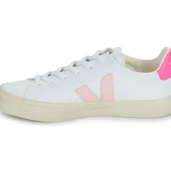 Veja - CAMPO CANVAS