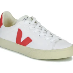 Veja - CAMPO CANVAS