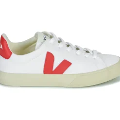 Veja - CAMPO CANVAS