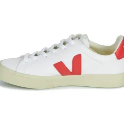 Veja - CAMPO CANVAS