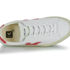 Veja - CAMPO CANVAS