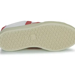 Veja - CAMPO CANVAS