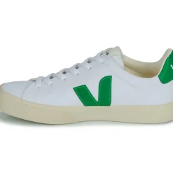 Veja - CAMPO CANVAS