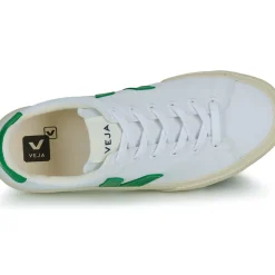 Veja - CAMPO CANVAS
