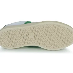 Veja - CAMPO CANVAS