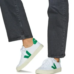 Veja - CAMPO CANVAS