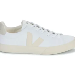 Veja - CAMPO CANVAS
