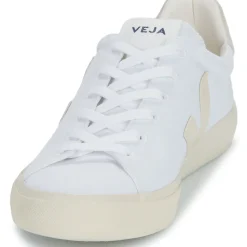 Veja - CAMPO CANVAS