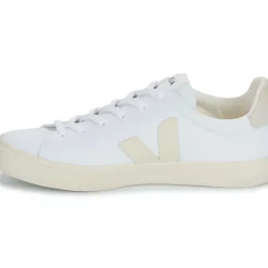 Veja - CAMPO CANVAS