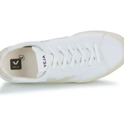 Veja - CAMPO CANVAS