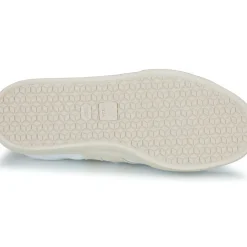 Veja - CAMPO CANVAS