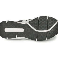 Veja - CONDOR 2
