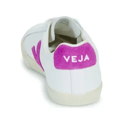Veja - ESPLAR LOGO