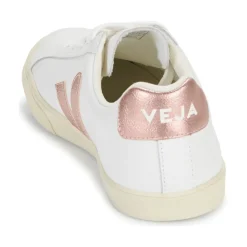 Veja - ESPLAR LOGO