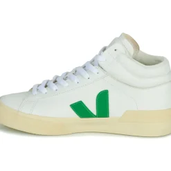 Veja - MINOTAUR