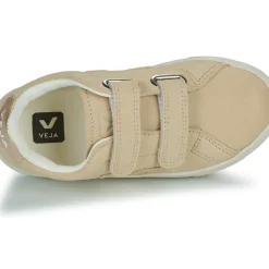 Veja - SMALL ESPLAR