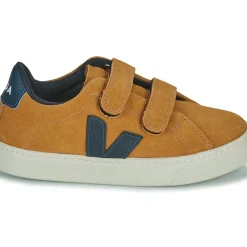 Veja - SMALL ESPLAR