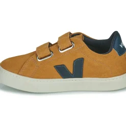 Veja - SMALL ESPLAR