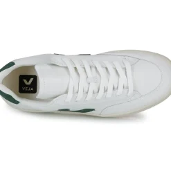 Veja - V-12