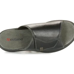 Westland - ALSACE 03