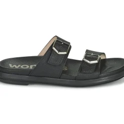 Wonders - B-7421-WILD