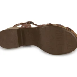 Wonders - D-9501-WILD