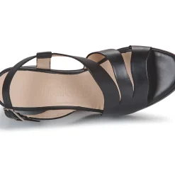 Wonders - L-1011 PERGAMENA