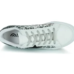 Yurban - ANISTAR